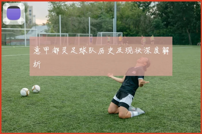 意甲都灵足球队历史及现状深度解析