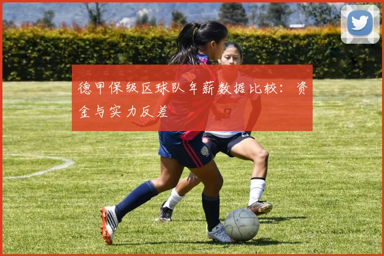 德甲保级区球队年薪数据比较：资金与实力反差