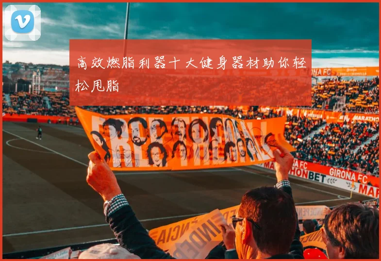 高效燃脂利器十大健身器材助你轻松甩脂