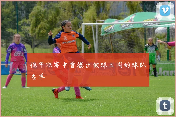 德甲联赛中曾爆出假球丑闻的球队名单